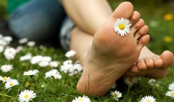 No varicose veins in legs after prevention with folk remedies